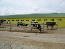 Aurora Group ��������� ������������� ������